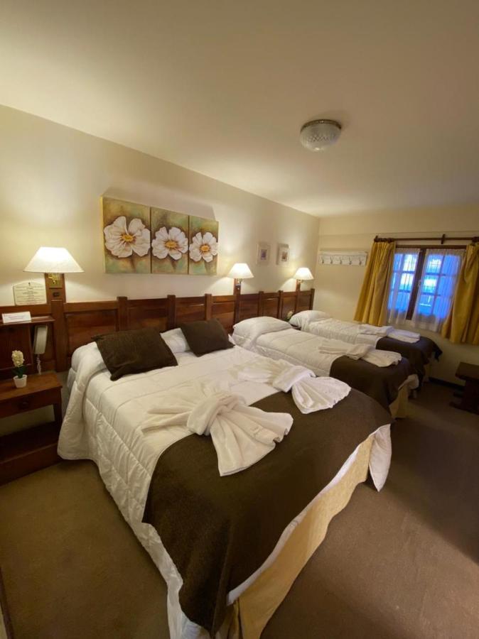 Del Viejo Esquiador Hotel San Martín de los Andes Eksteriør billede
