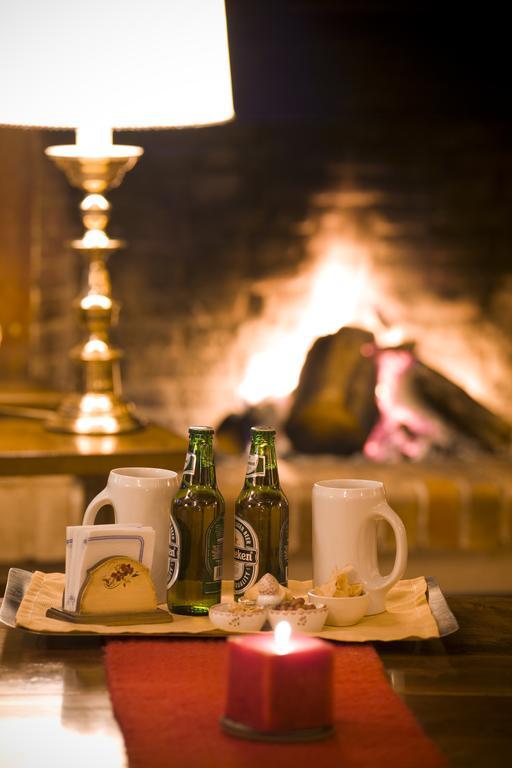 Del Viejo Esquiador Hotel San Martín de los Andes Eksteriør billede